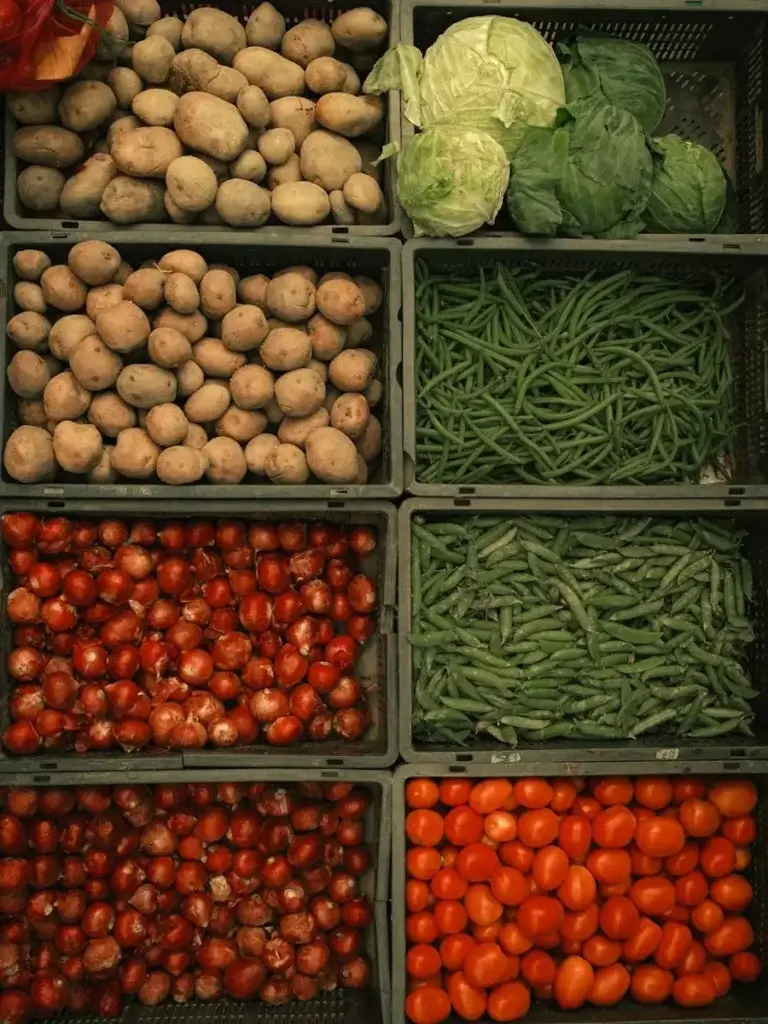 Food Preservation Activated Carbon Featured Image